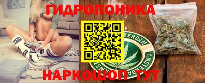 сатива Абакан