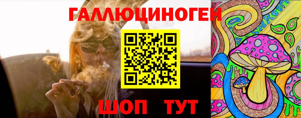 Псилоцибиновые грибы Cubensis Абинск
