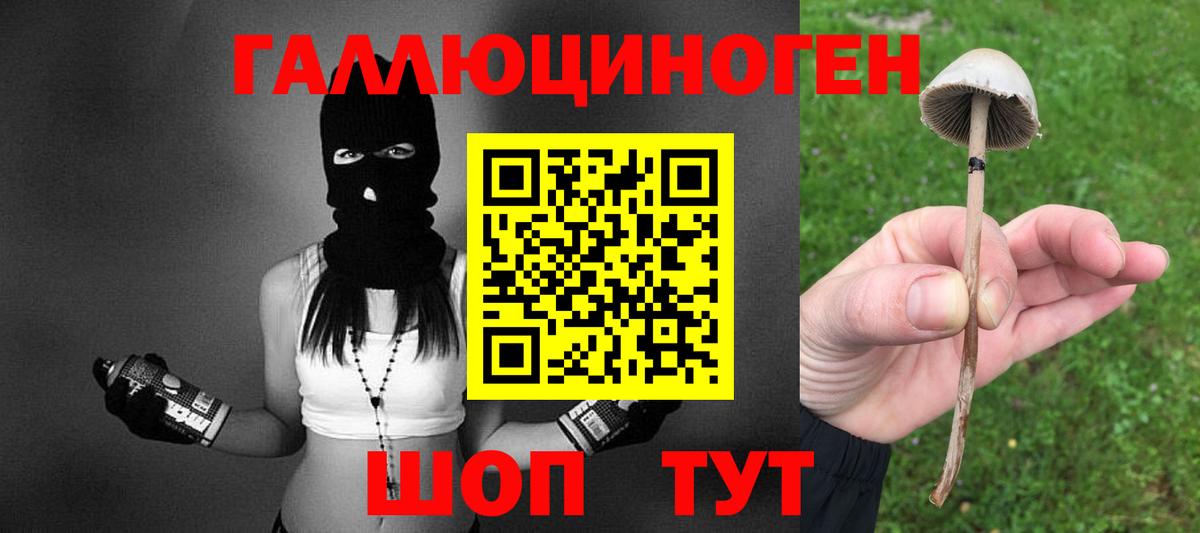 Абинск  Псилоцибиновые грибы ЛСД  Вход с VPN 